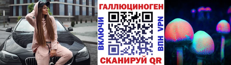 блэк спрут Пучеж Галлюциногенные грибы Magic Shrooms